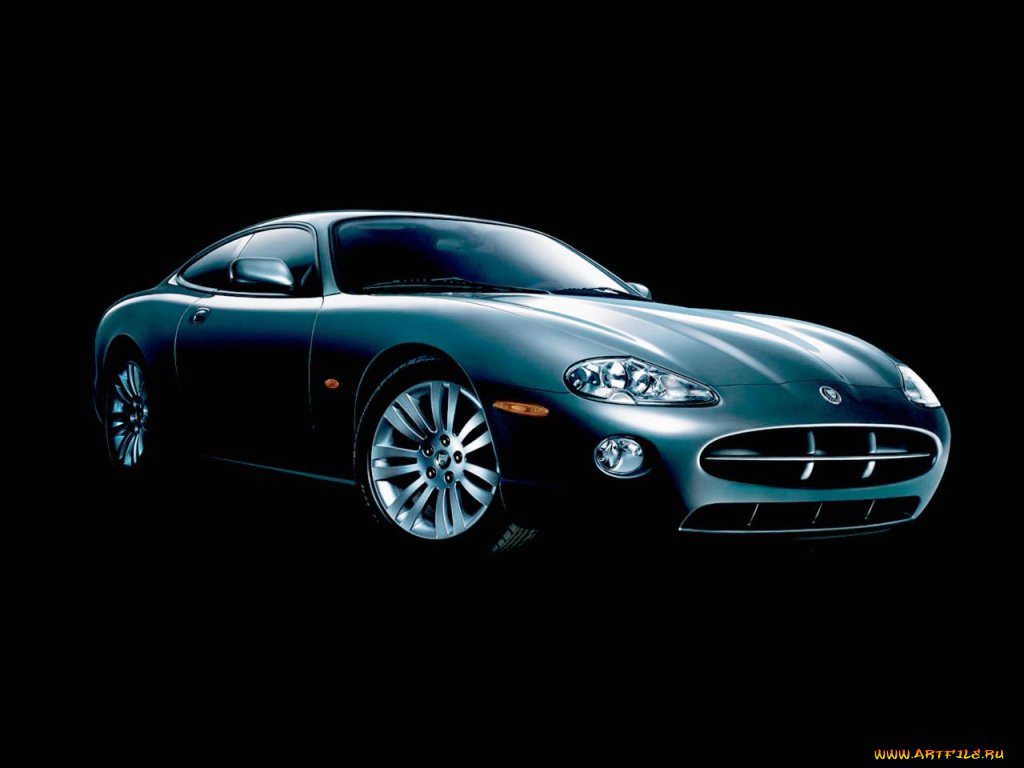 , jaguar
